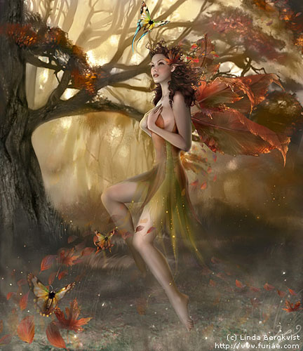 oO� Special pour Clad �Oo